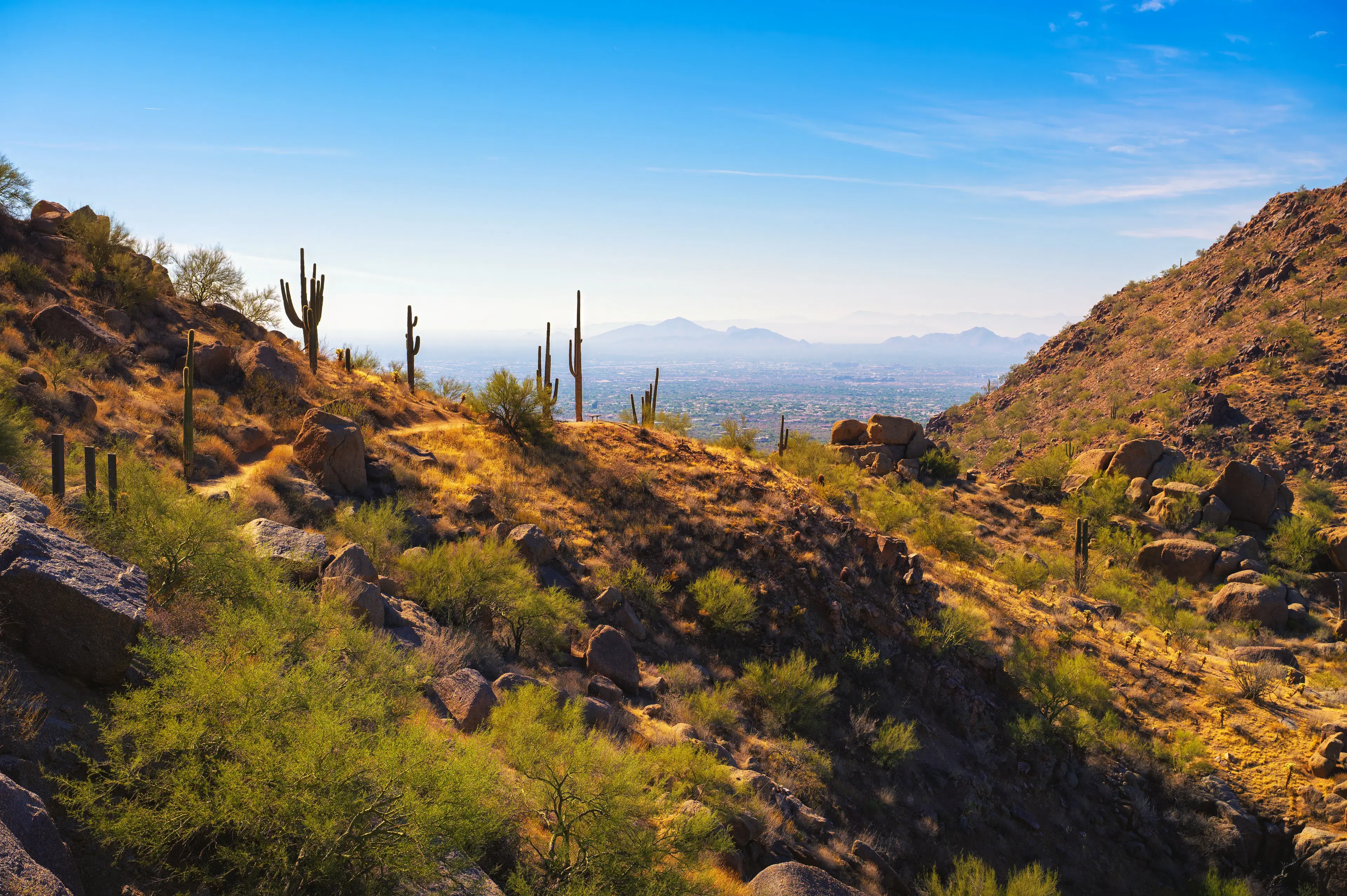 The Arizona Solar Panel Installation Process & HOA Rights